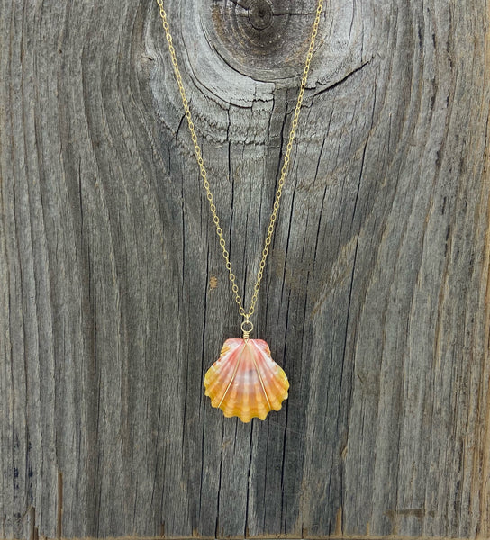 Sunrise Shell Necklace, Sunrise Shell Jewelry, Sunrise Shell Pendant, Hawaiian Sunrise Shell, Hawaii Shell Necklace, Beach Gift, 2024 Surfer Gift